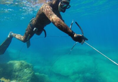 MARES Spearfishing