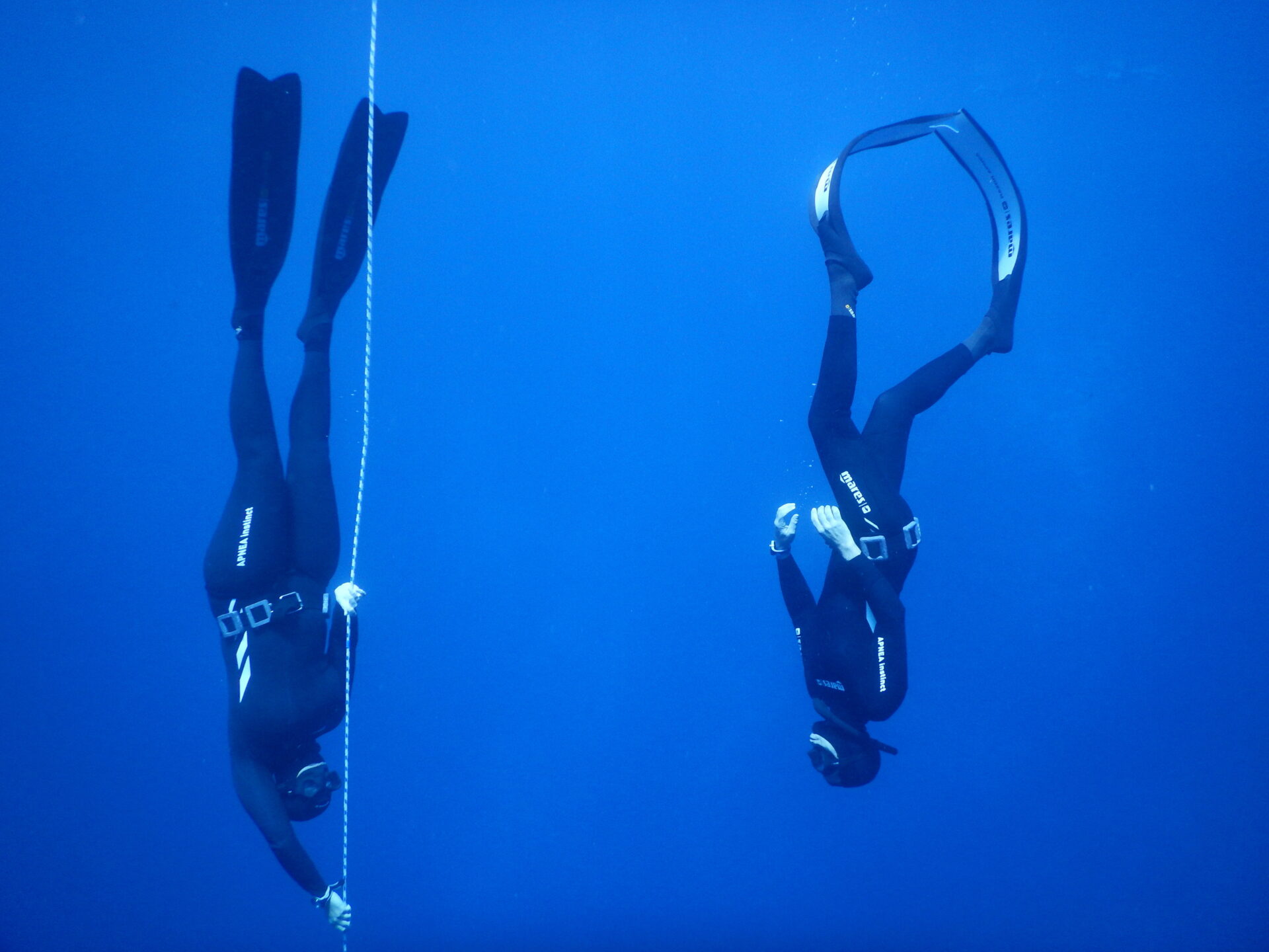 Freediving Courses Italy